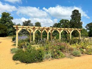 Replacement Green Oak Pergola Installed at Hylands Park side on