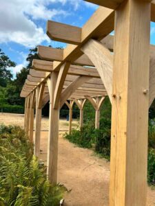 Replacement Green Oak Pergola Installed at Hylands Park side view